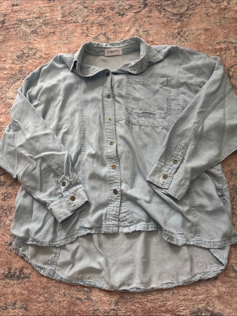 Carly Jean Los Angeles denim button down